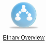 Страница binary overview в личном кабинете bepic