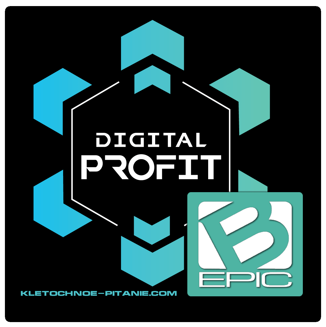 Digital Profit - финансовая платформа для партнёров BEpic