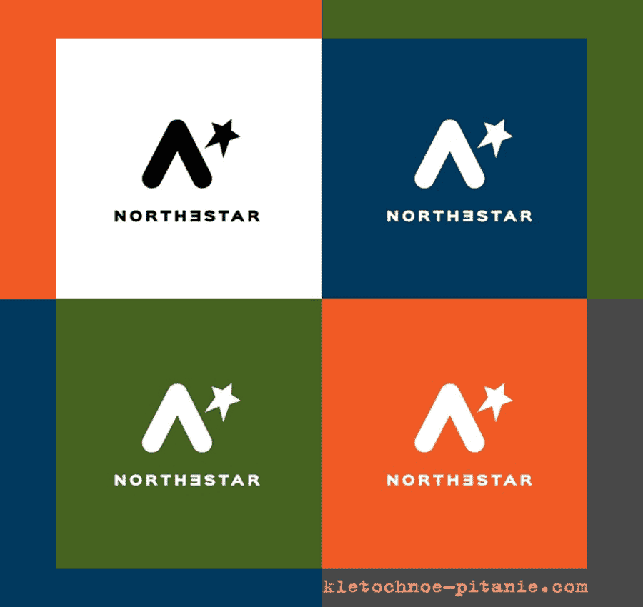 Логотип компании Northestar (США)